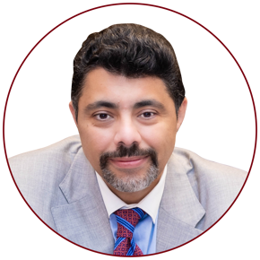 Prof. Dr. Mohamed Abdel Wahab