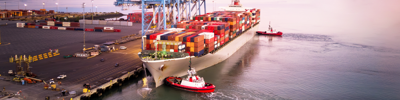 Container Ship docked